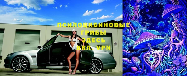 ECSTASY Абаза