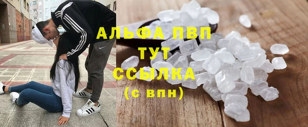 ECSTASY Абаза