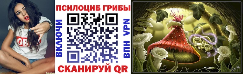 Псилоцибиновые грибы Psilocybe Приволжский