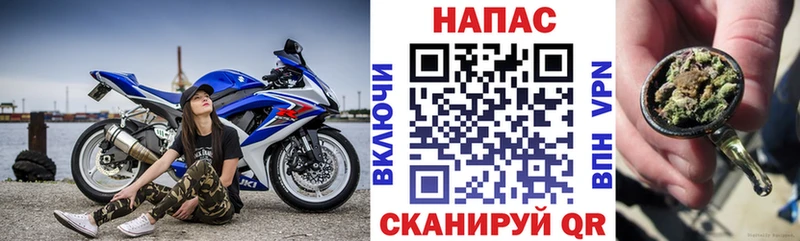 Бошки Шишки сатива  Приволжский 